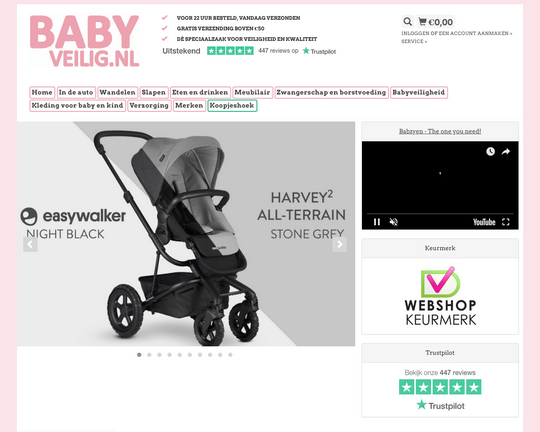 Babyveilig.nl Logo