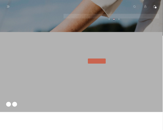 Budgetlovers.nl Logo