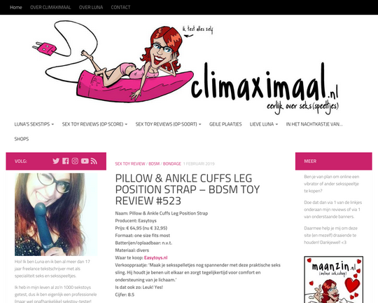 Climaximaal.nl Logo