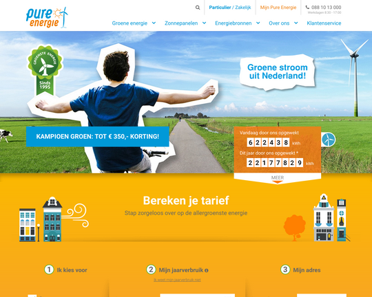 Pure-energie.nl Logo