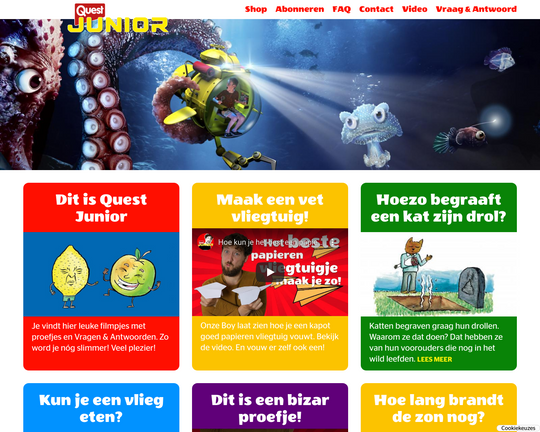 Questjunior.nl Logo