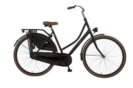 Image result for omafiets